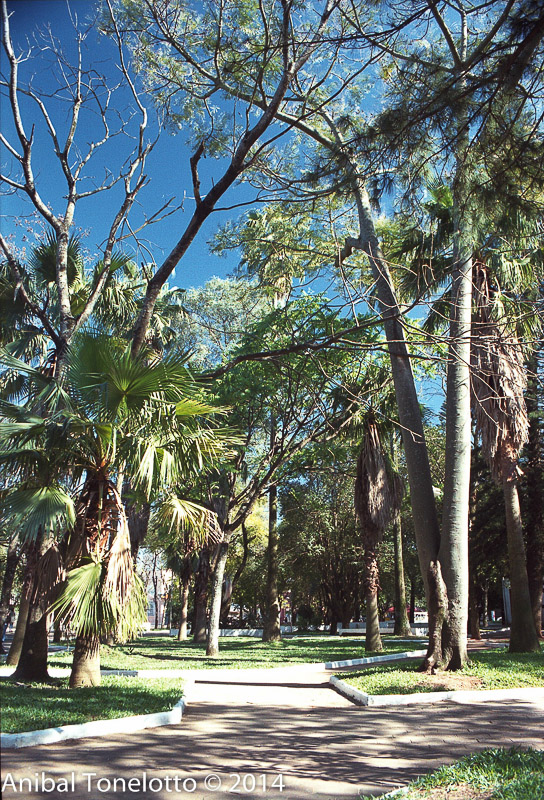 Praça 15 25.jpg